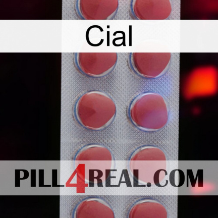 Cial 18